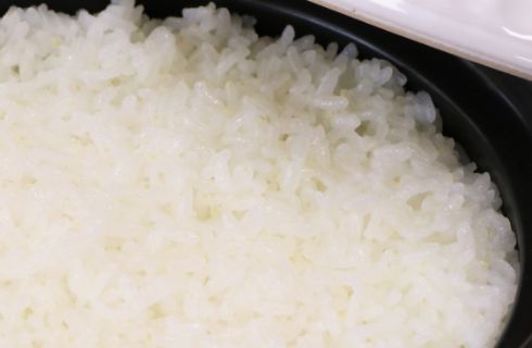 炊きあがったご飯