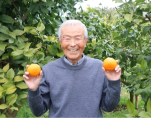 大型農産物直売所セレサモス | JAセレサ川崎