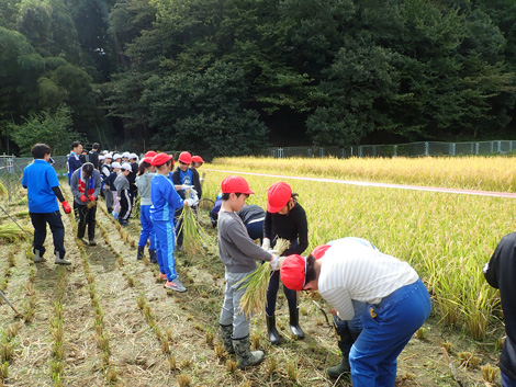 食農教育（本店） | かわさきの「農業」 | JAセレサ川崎
