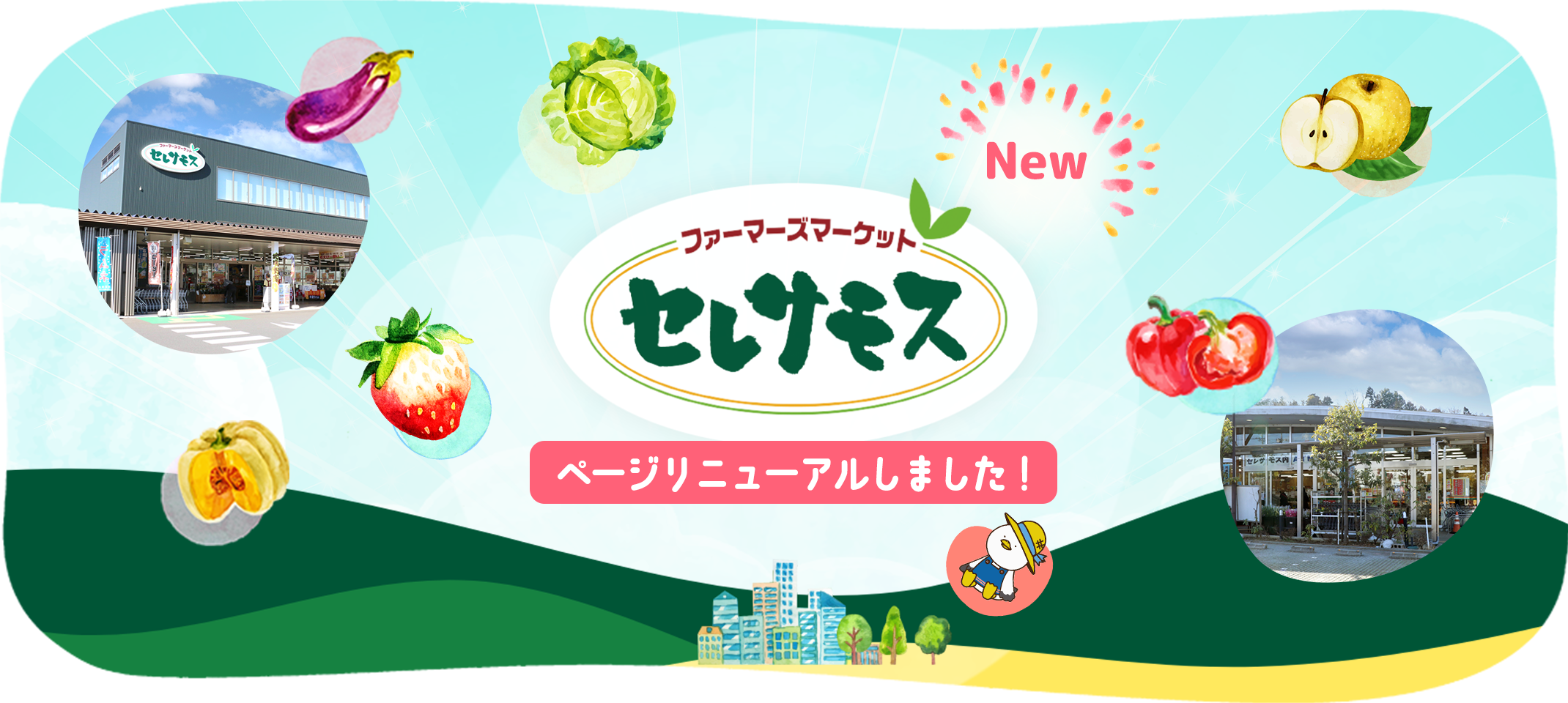 セレサモスリニューアル