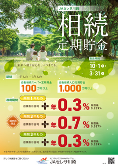 相続定期貯金チラシ