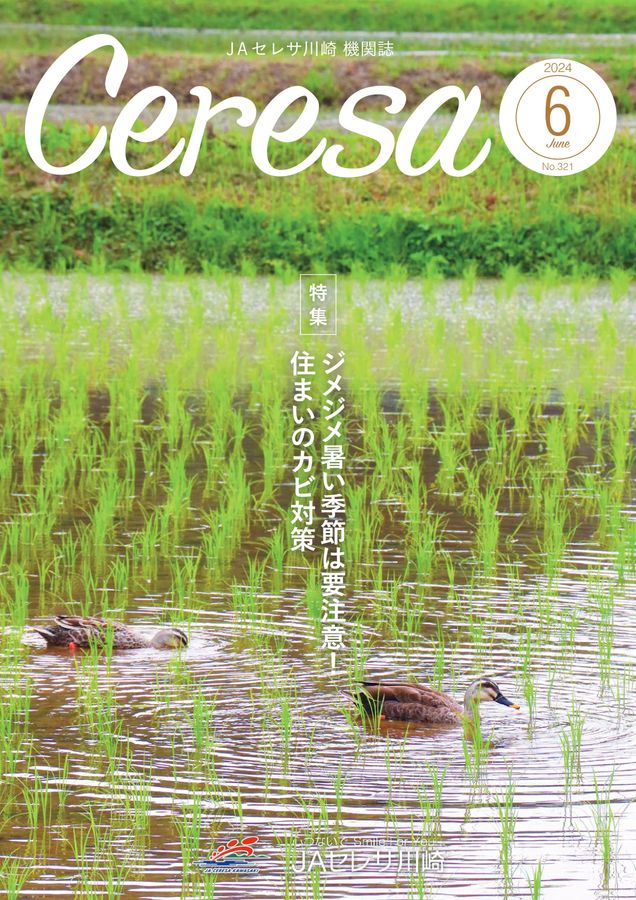 コギャル 2024 6月号 KOGYARU 6月号 コギャル時代特集 最新！KOGYARU2025年6月号 雑誌