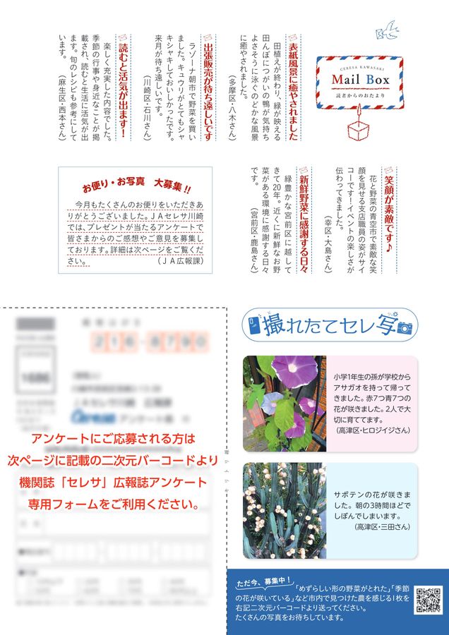 JAセレサ川崎 Ceresa 2024年8月号