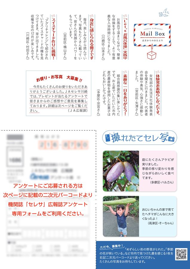 JAセレサ川崎 Ceresa 2024年11月号