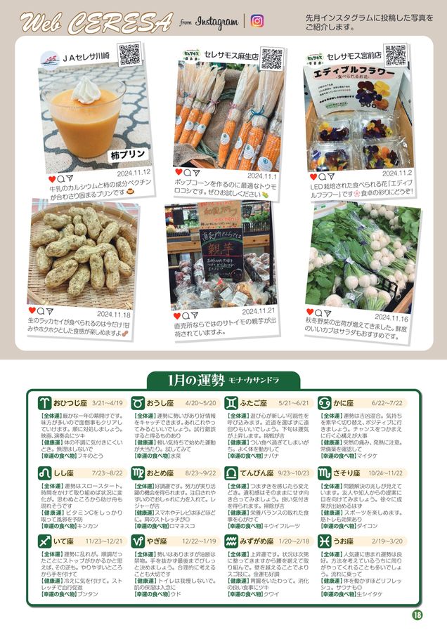 JAセレサ川崎 Ceresa 2024年12月号
