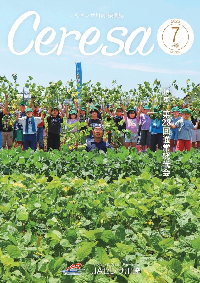 x1.jpg?c=20250724150046