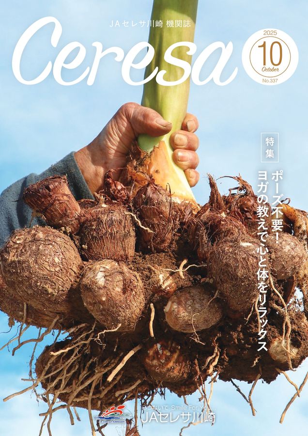 x1.jpg?c=20251014114107