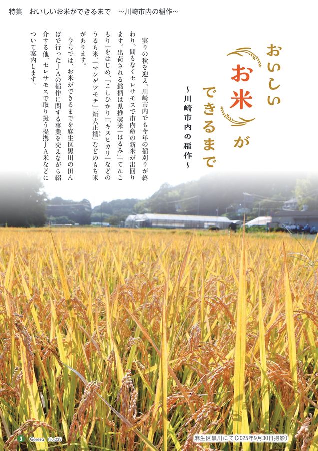 JAセレサ川崎 Ceresa 2025年11月号