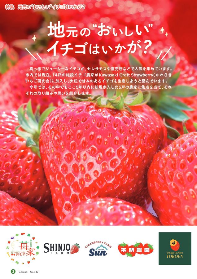いちごページ JAセレサ川崎 Ceresa 2026年3月号