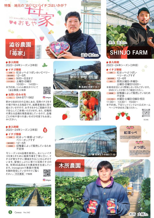 苺ページ JAセレサ川崎 Ceresa 2026年3月号